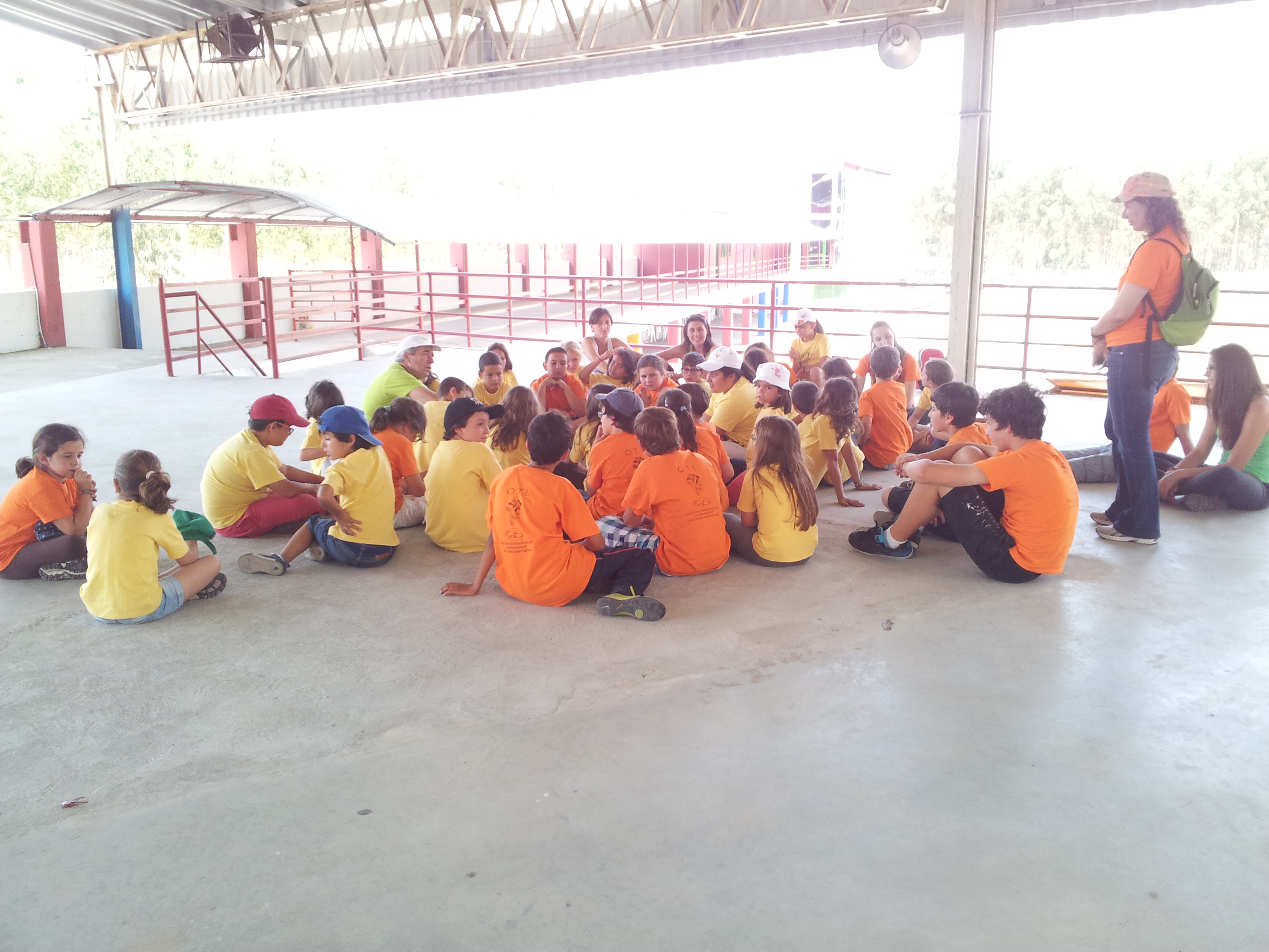 APEE OTL 20133